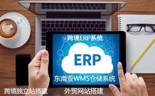 独立站平台定制