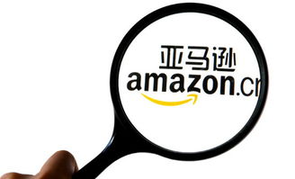 各有各的招 亚马逊和京东哪个电商更 闪电