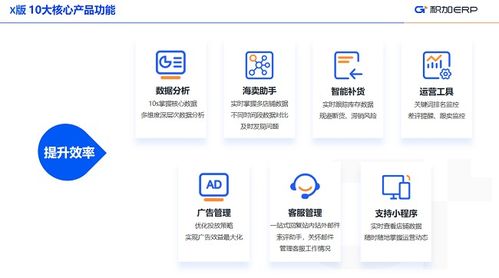 积加ERP 定制化解决方案，小卖家与中大卖家的差异化需求