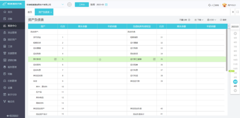 电商定制类erp